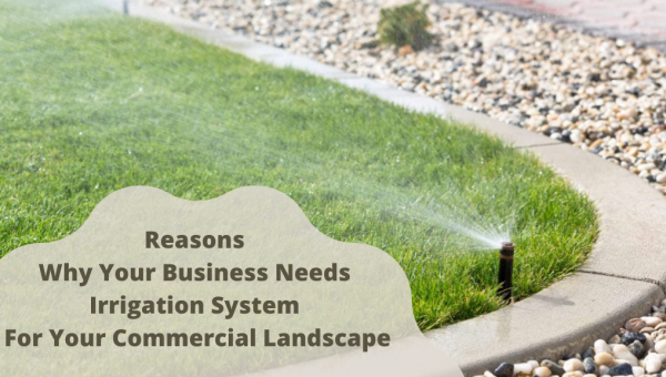 Reasons Why Your Business Needs Irrigation System For Your Commercial Landscape